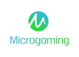 Microgaming Software-Kasino