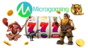 Microgaming-Software